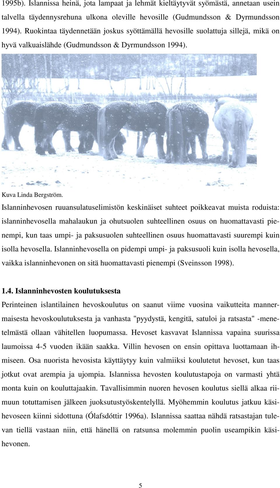 Islanninhevosen ruuansulatuselimistön keskinäiset suhteet poikkeavat muista roduista: islanninhevosella mahalaukun ja ohutsuolen suhteellinen osuus on huomattavasti pienempi, kun taas umpi- ja