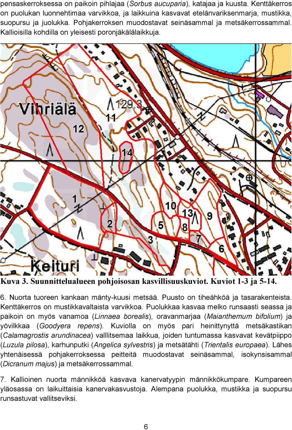 Nuorta tuoreen kankaan mänty-kuusi metsää. Puusto on tiheähköä ja tasarakenteista. Kenttäkerros on mustikkavaltaista varvikkoa.