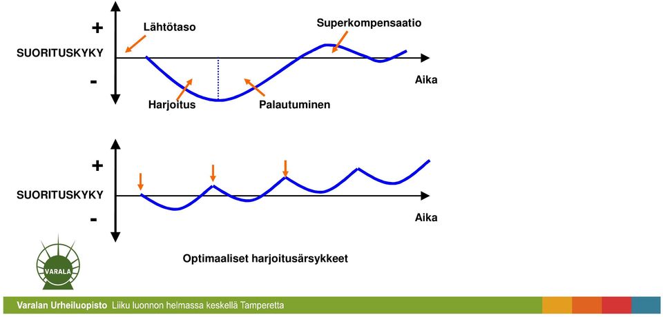 ollut riittävän kuormittava + SUORITUSKYKY - Aika Optimaaliset harjoitusärsykkeet Superkompensaatio huomioitava harjoittelun