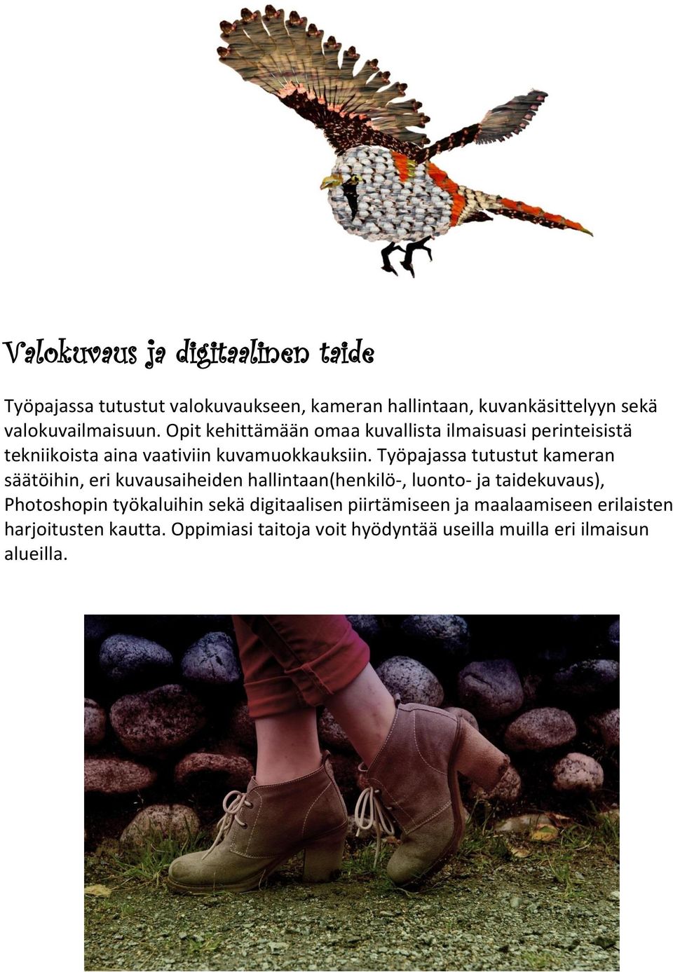 Työpajassa tutustut kameran säätöihin, eri kuvausaiheiden hallintaan(henkilö-, luonto- ja taidekuvaus), Photoshopin työkaluihin