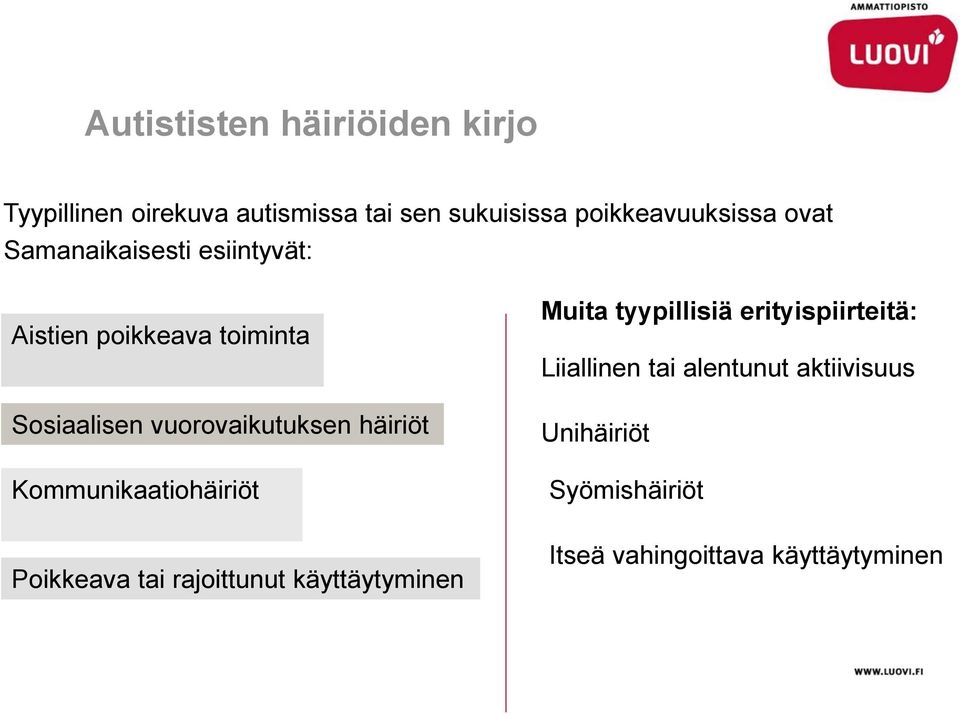 Kommunikaatiohäiriöt Poikkeava tai rajoittunut käyttäytyminen Muita tyypillisiä