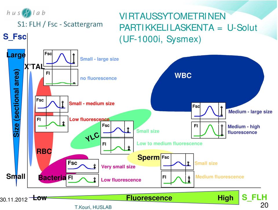 Fl YLC Fl Very small size Low fluorescence Small size Sperm Fsc Fl Low to medium fluorescence Fsc Fl Small size