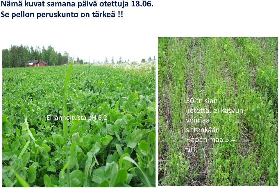 ! Ei lannoitusta ph 6,2 30 tn sian