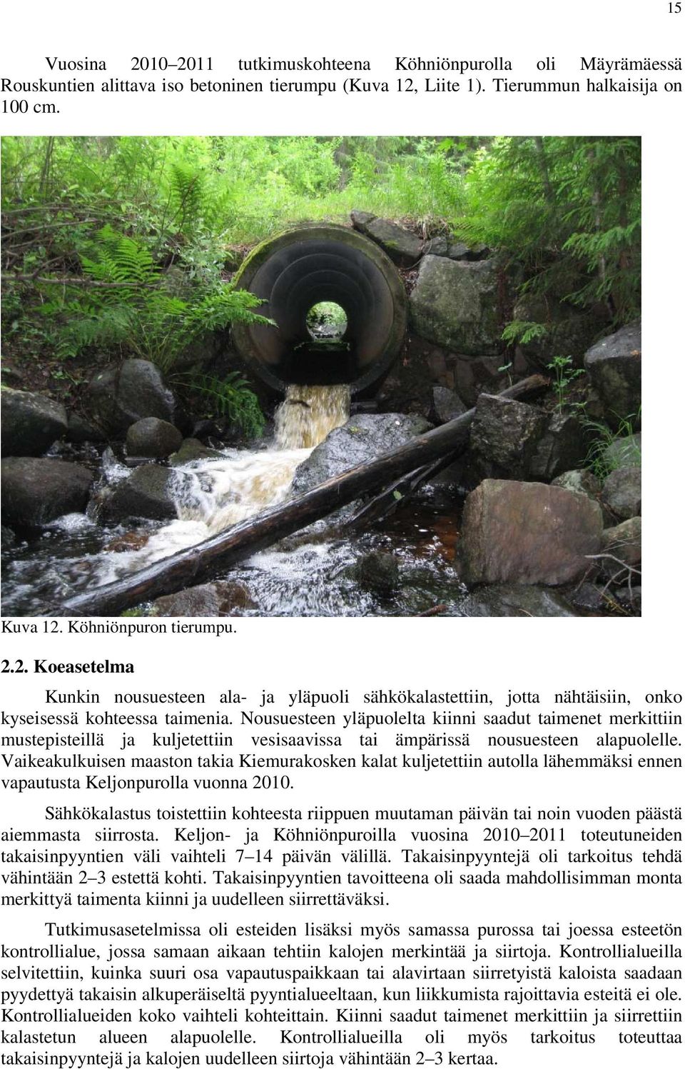 Vaikeakulkuisen maaston takia Kiemurakosken kalat kuljetettiin autolla lähemmäksi ennen vapautusta Keljonpurolla vuonna 2010.