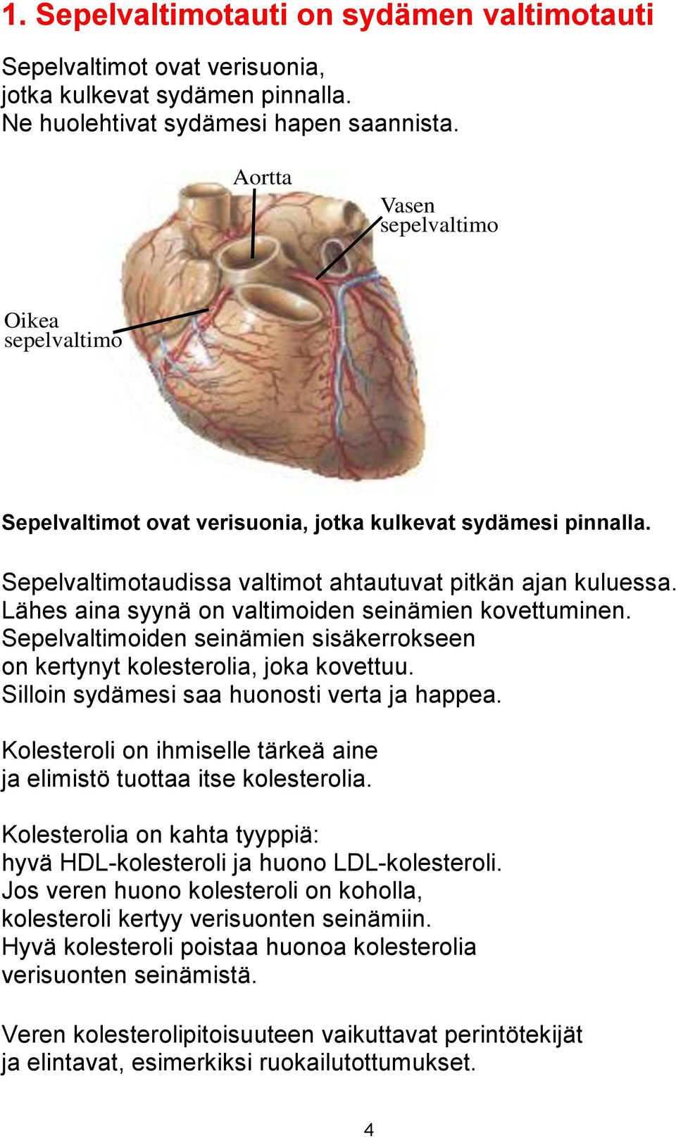 Lähes aina syynä on valtimoiden seinämien kovettuminen. Sepelvaltimoiden seinämien sisäkerrokseen on kertynyt kolesterolia, joka kovettuu. Silloin sydämesi saa huonosti verta ja happea.