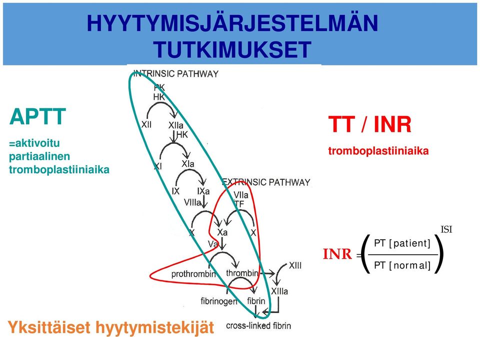 TT / INR tromboplastiiniaika INR = )ISI (