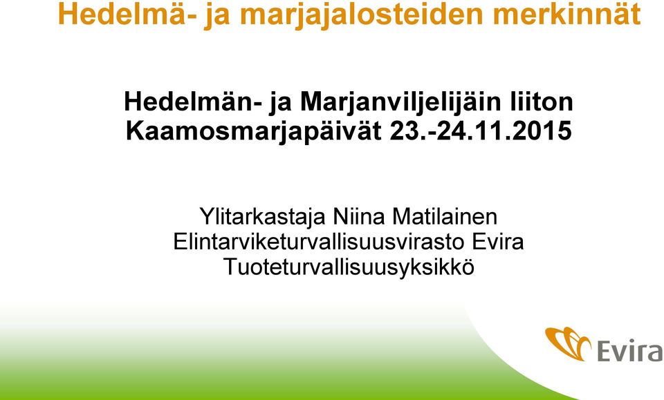 2015 Ylitarkastaja Niina Matilainen