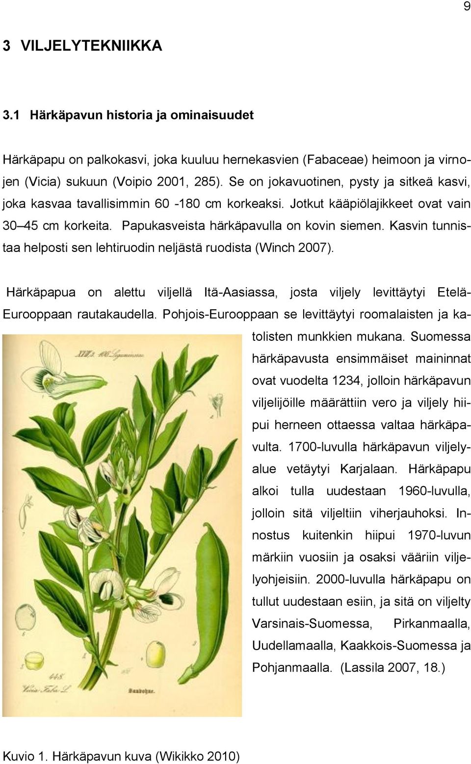 Kasvin tunnistaa helposti sen lehtiruodin neljästä ruodista (Winch 2007). Härkäpapua on alettu viljellä Itä-Aasiassa, josta viljely levittäytyi Etelä- Eurooppaan rautakaudella.