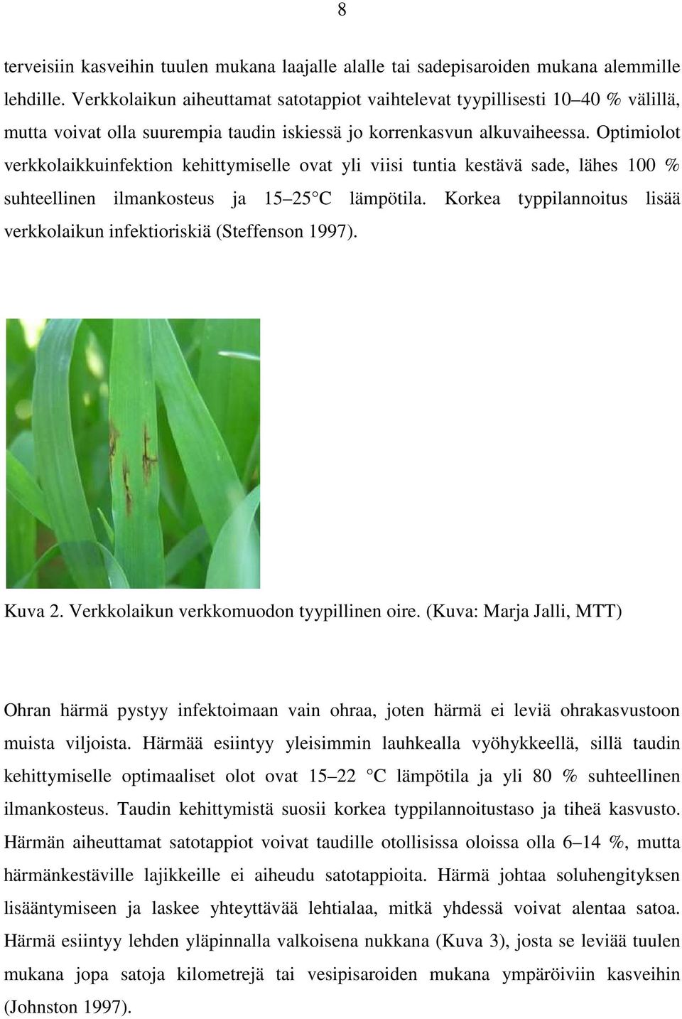 Optimiolot verkkolaikkuinfektion kehittymiselle ovat yli viisi tuntia kestävä sade, lähes 100 % suhteellinen ilmankosteus ja 15 25 C lämpötila.