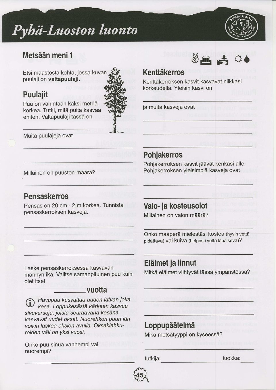 Pohjakerros Pohjakerroksen kasvit jiiilviit ken kiis i al le. Pohjakerroksen yleisimpiii kasveja ovat Pensaskerros Pensas on 20 cm - 2 m korkea. Tunnista pensaskerroksen kasveja.