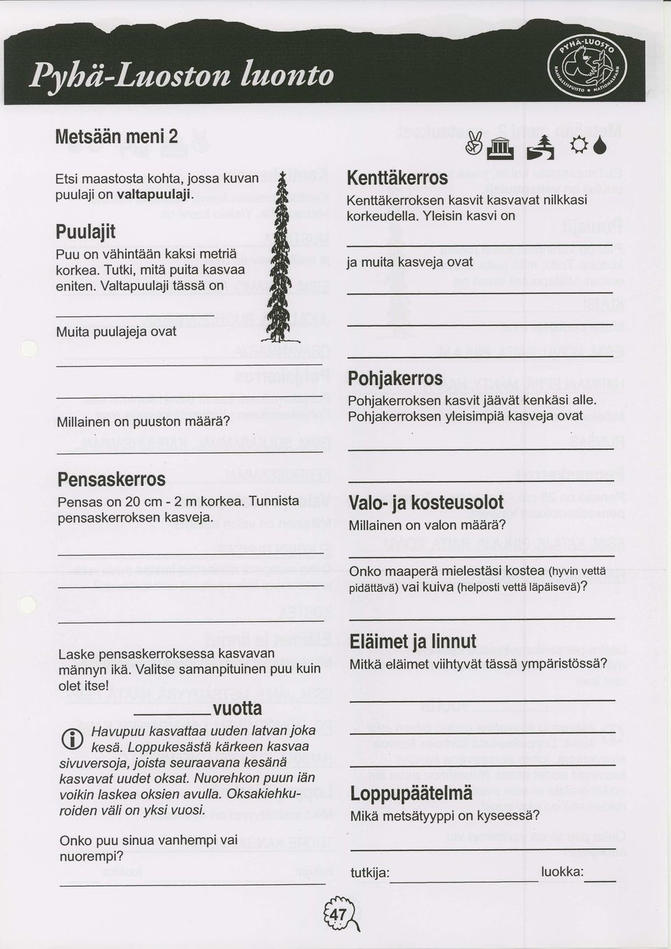 Pohjakerros Pohjakerroksen kasvit j iiaviit ken k isi al I e. Pohjakerroksen yleisi mpi?i kasveja ovat Pensaskerros Pensas on 20 cm - 2 m korkea. Tunnista pensaskerroksen kasveja.