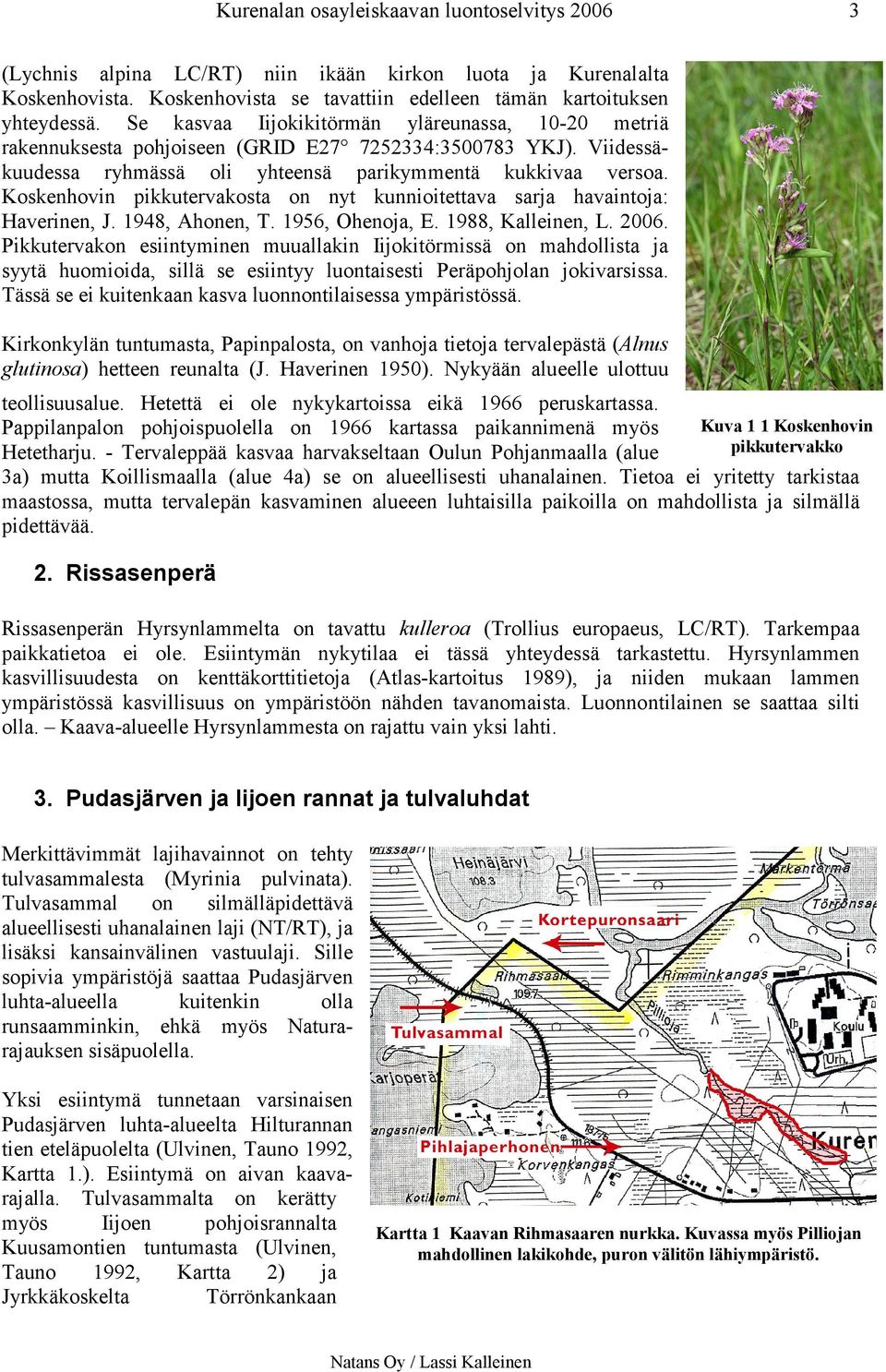 Koskenhovin pikkutervakosta on nyt kunnioitettava sarja havaintoja: Haverinen, J. 1948, Ahonen, T. 1956, Ohenoja, E. 1988, Kalleinen, L. 2006.