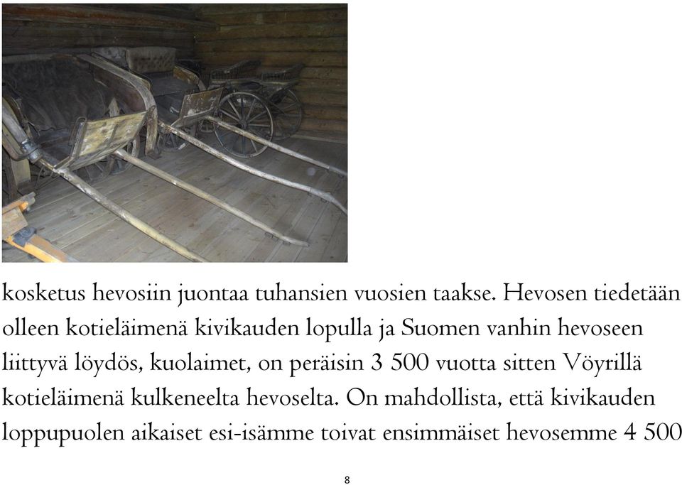 liittyvä löydös, kuolaimet, on peräisin 3 500 vuotta sitten Vöyrillä kotieläimenä