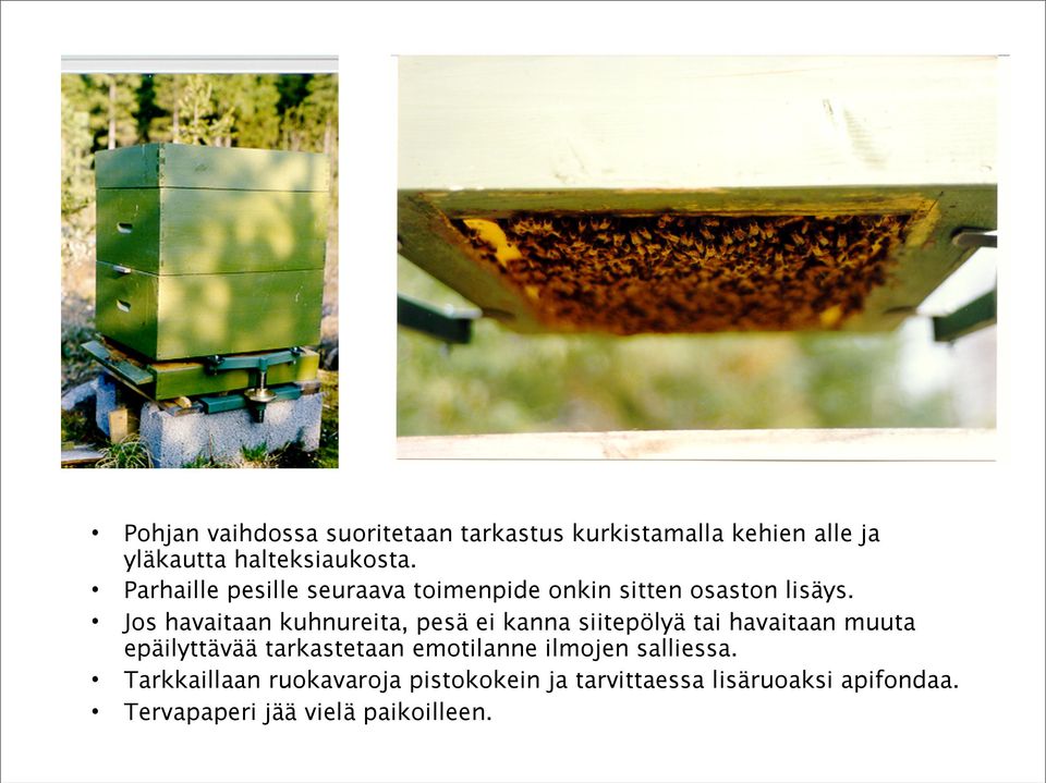 Jos havaitaan kuhnureita, pesä ei kanna siitepölyä tai havaitaan muuta epäilyttävää tarkastetaan