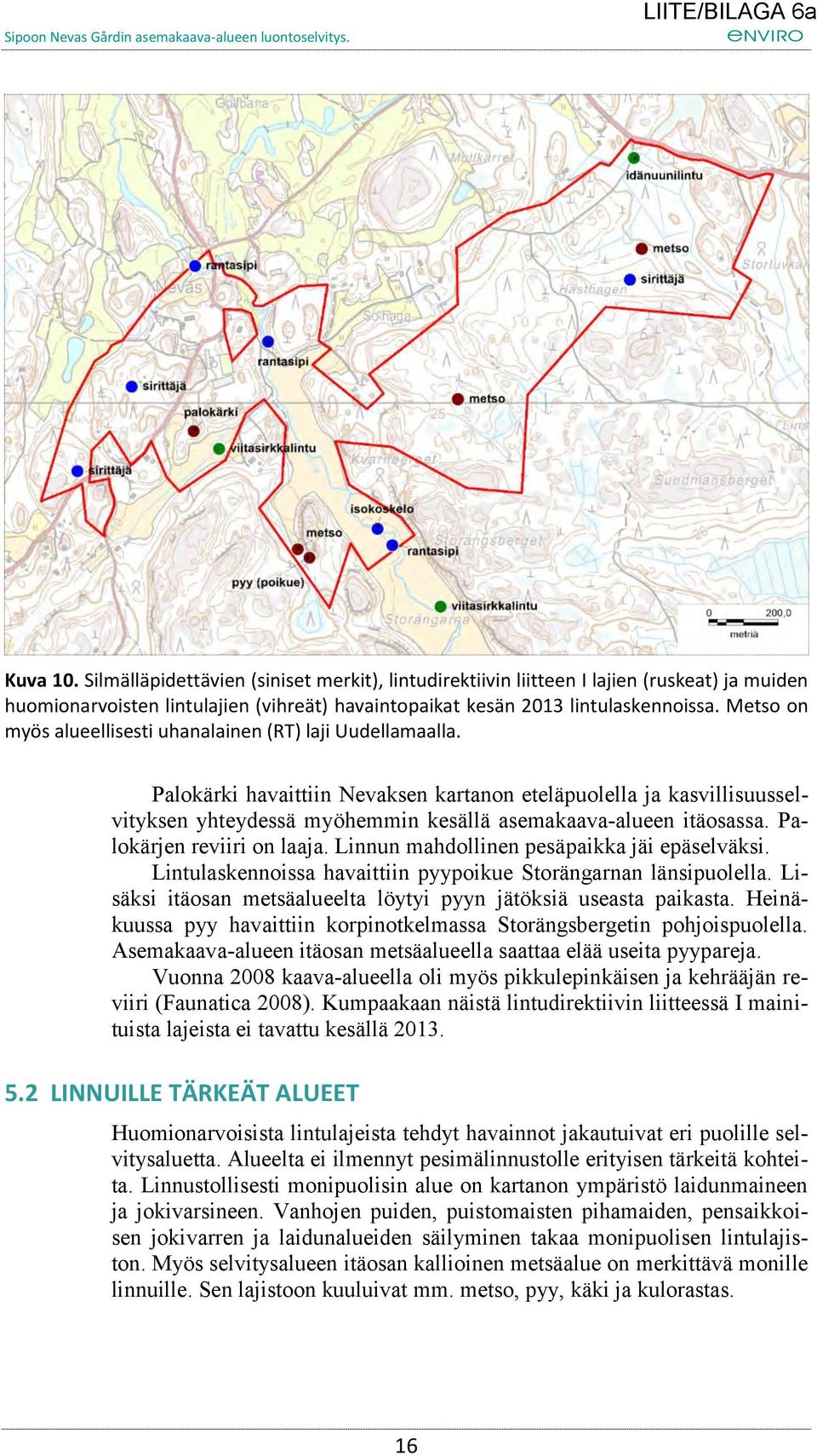 Palokärki havaittiin Nevaksen kartanon eteläpuolella ja kasvillisuusselvityksen yhteydessä myöhemmin kesällä asemakaava-alueen itäosassa. Palokärjen reviiri on laaja.