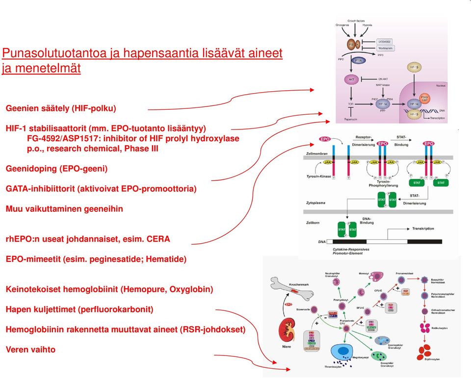 anto lisääntyy) FG-4592/ASP1517: inhibitor of HIF prolyl hydroxylase p.o., research chemical, Phase III Geenidoping (EPO-geeni)