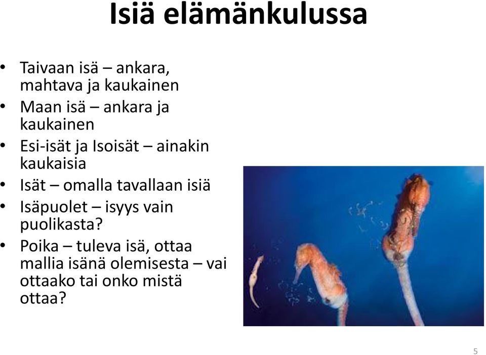 omalla tavallaan isiä Isäpuolet isyys vain puolikasta?