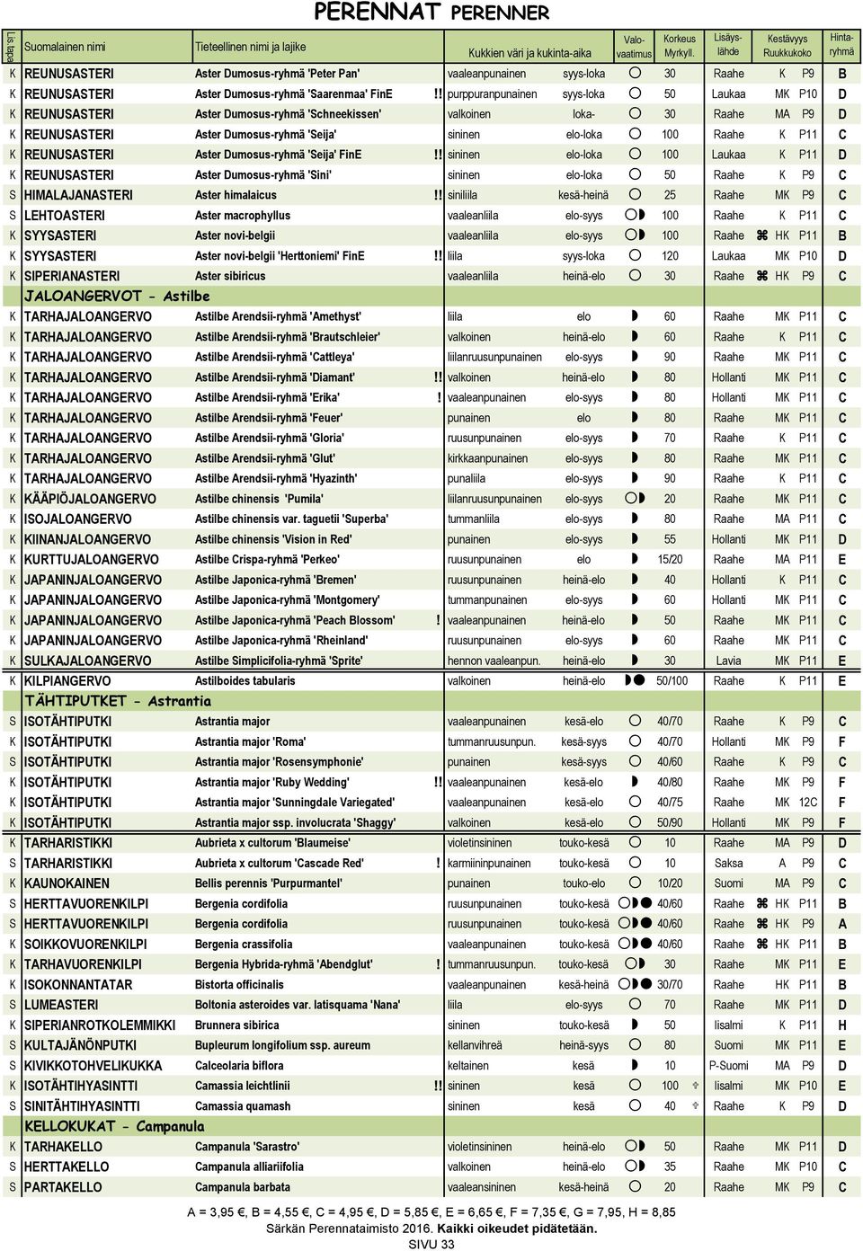 Raahe K P11 C K REUNUSASTERI Aster Dumosus-ryhmä 'Seija' FinE!