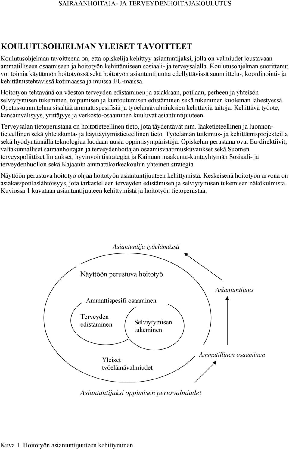 Koulutusohjelman suorittanut voi toimia käytännön hoitotyössä sekä hoitotyön asiantuntijuutta edellyttävissä suunnittelu-, koordinointi- ja kehittämistehtävissä kotimaassa ja muissa EU-maissa.