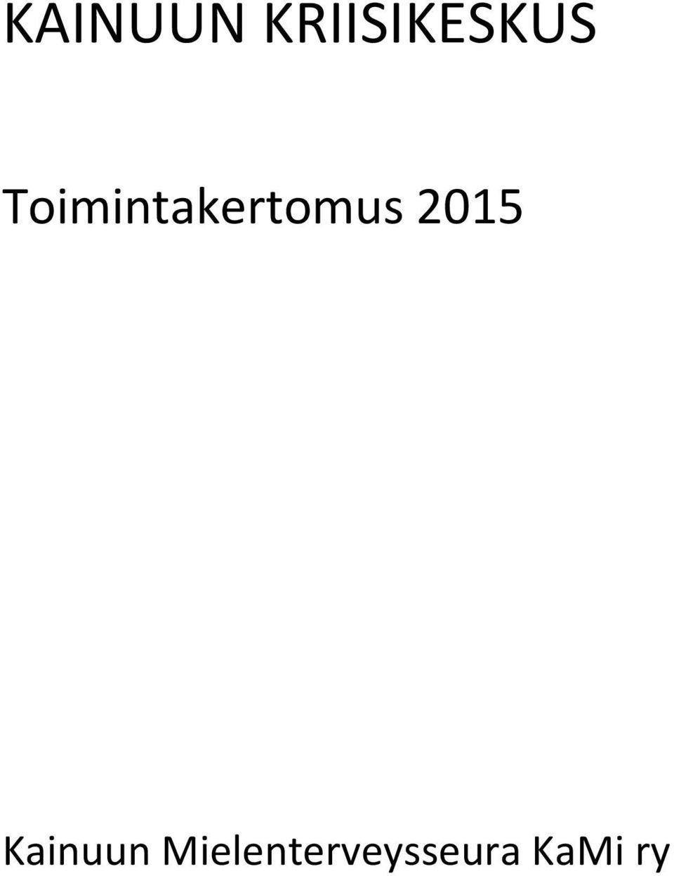 Toimintakertomus