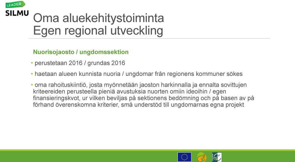 ja ennalta sovittujen kriteereiden perusteella pieniä avustuksia nuorten omiin ideoihin / egen finansieringskvot, ur vilken