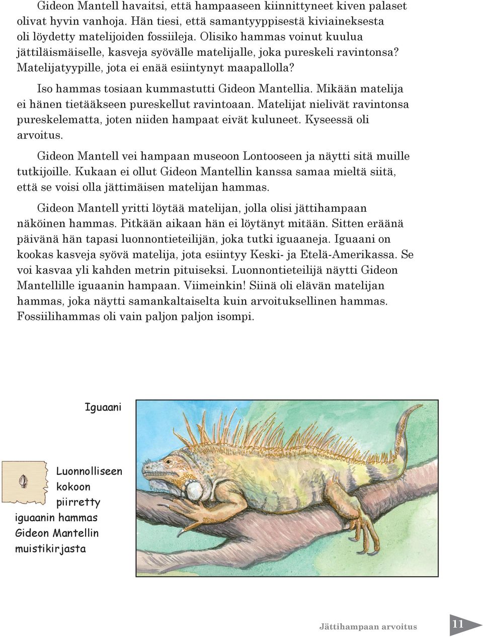 Iso hammas tosiaan kummastutti Gideon Mantellia. Mikään matelija ei hänen tietääkseen pureskellut ravintoaan. Matelijat nielivät ravintonsa pureskelematta, joten niiden hampaat eivät kuluneet.