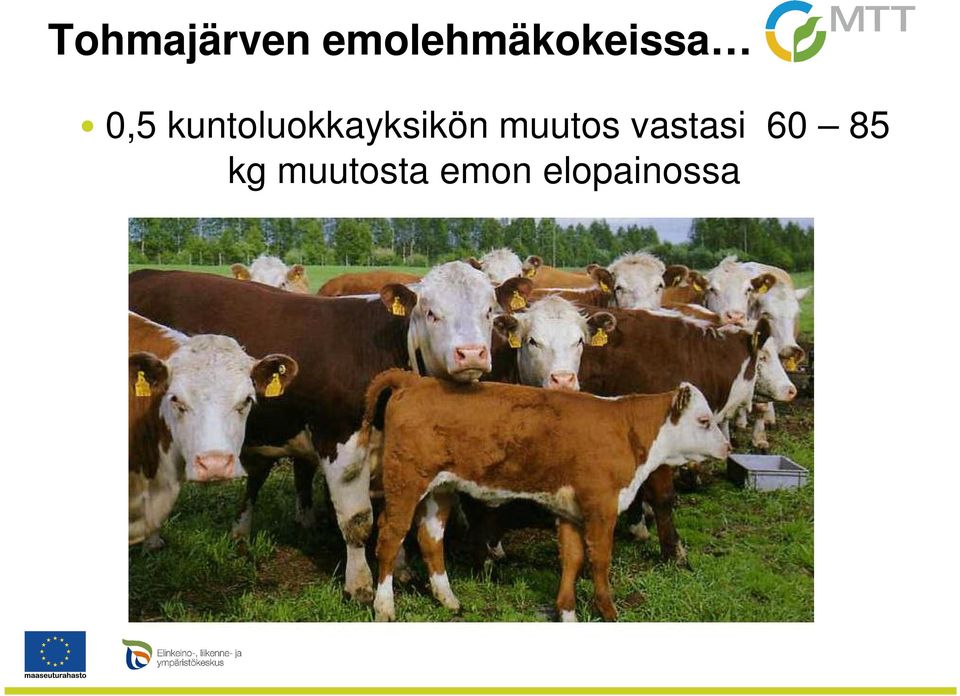 kuntoluokkayksikön muutos