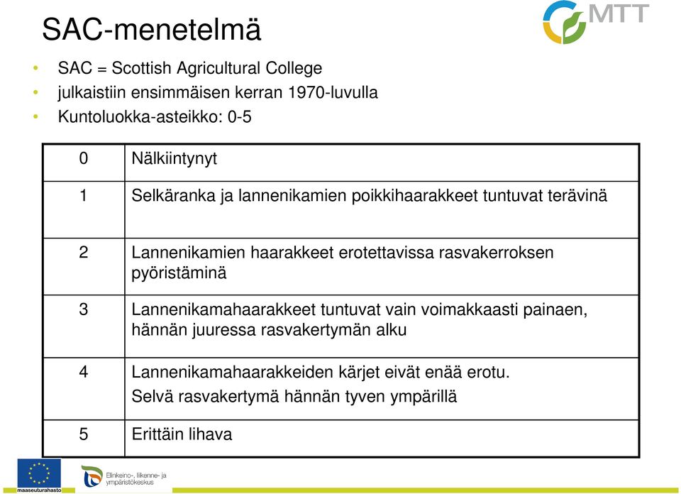 erotettavissa rasvakerroksen pyöristäminä 3 Lannenikamahaarakkeet tuntuvat vain voimakkaasti painaen, hännän juuressa