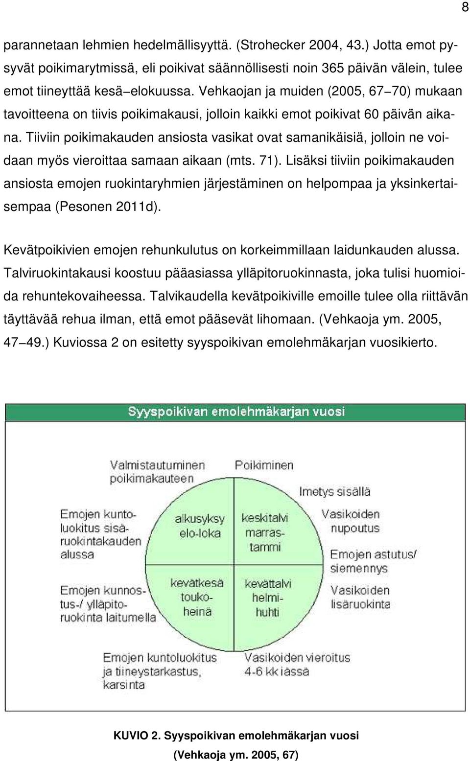 Tiiviin poikimakauden ansiosta vasikat ovat samanikäisiä, jolloin ne voidaan myös vieroittaa samaan aikaan (mts. 71).