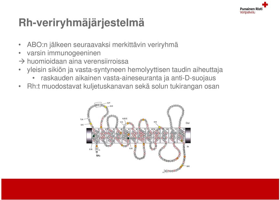 vasta-syntyneen hemolyyttisen taudin aiheuttaja raskauden aikainen