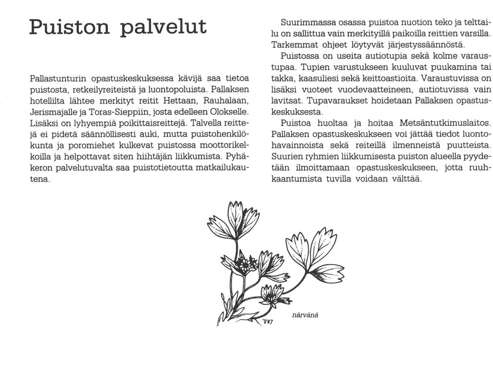Varaustuvissa puistosta, retkeilyreiteistä ja lutopoluista. Pallaksen hotellilta lähtee merkityt reitit Hettaan, Rauhalaan, Jerismajalle ja Toras-Sieppiin, josta edelleen Otokselle.