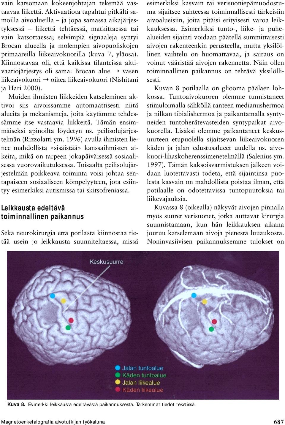 molempien aivopuoliskojen primaareilla liikeaivokuorilla (kuva 7, yläosa).