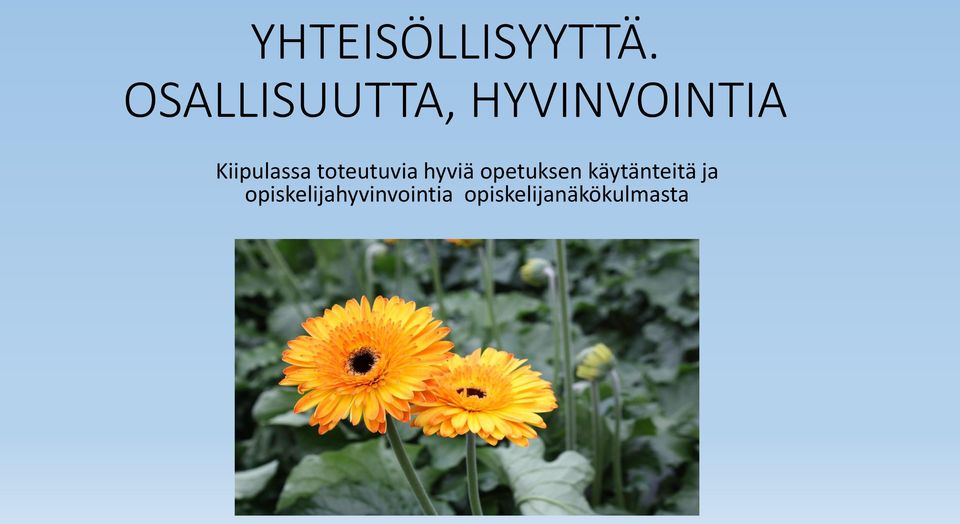 Kiipulassa toteutuvia hyviä