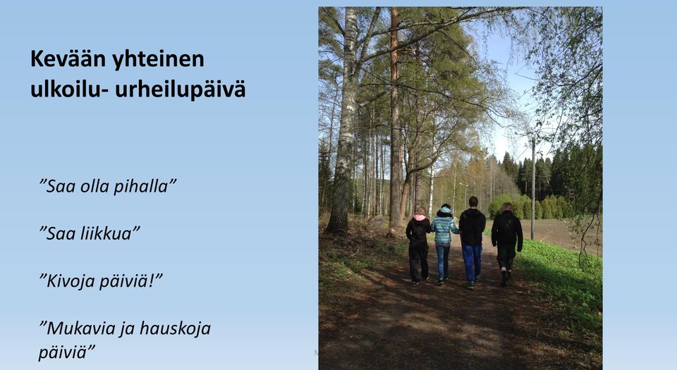 pihalla Saa liikkua Kivoja