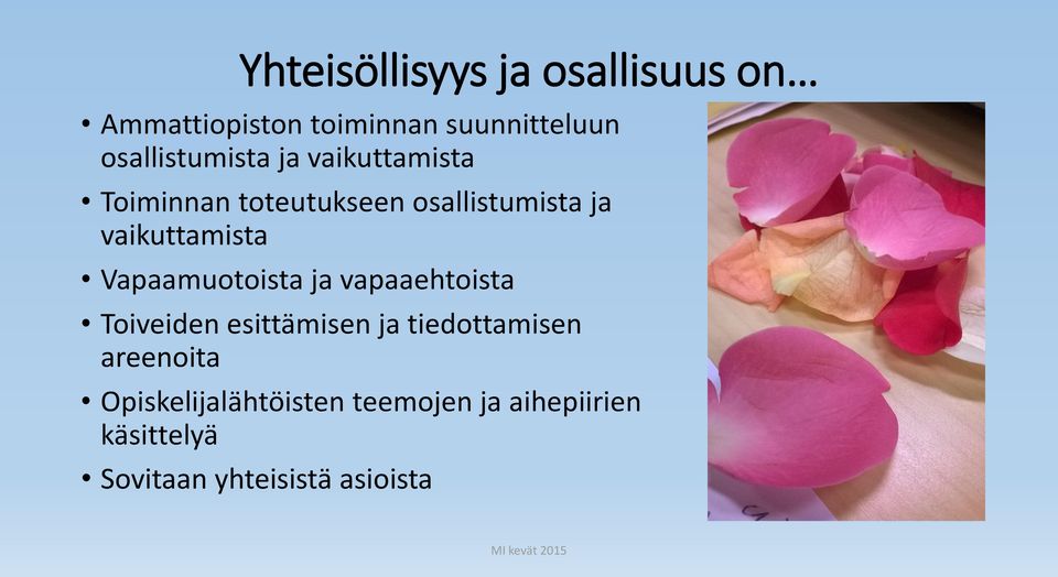 vaikuttamista Vapaamuotoista ja vapaaehtoista Toiveiden esittämisen ja