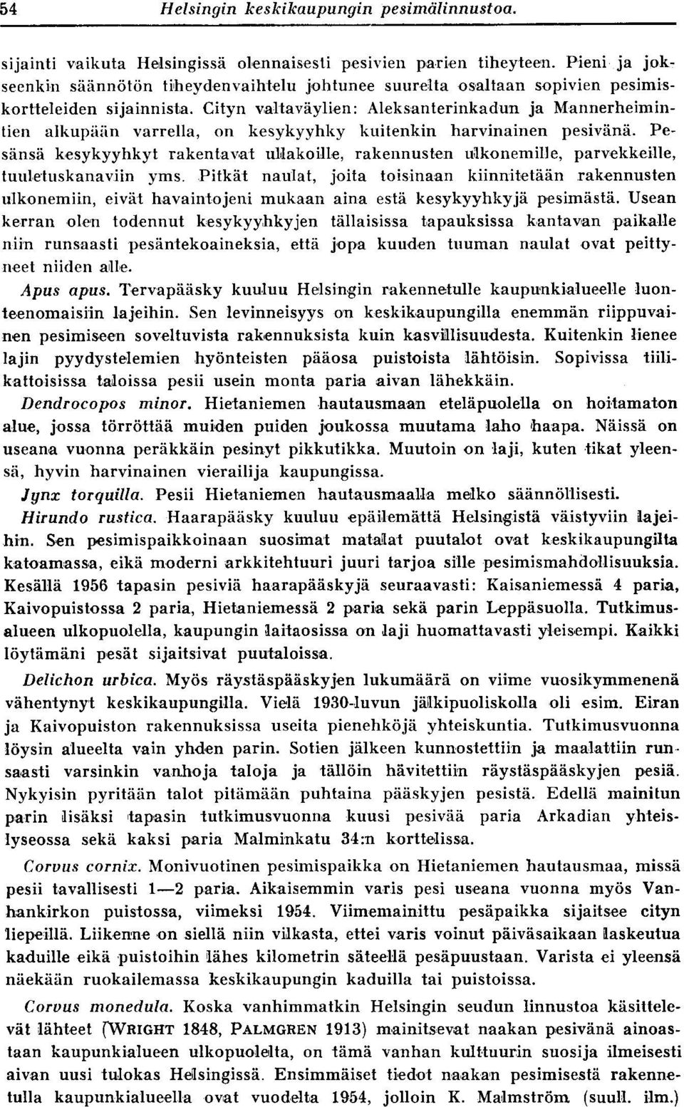 Cityn valtaväylien : Aleksanterinkadun ja Mannerheimintien alkupään varrella, on kesykyyhky kuitenkin harvinainen pesivänä.