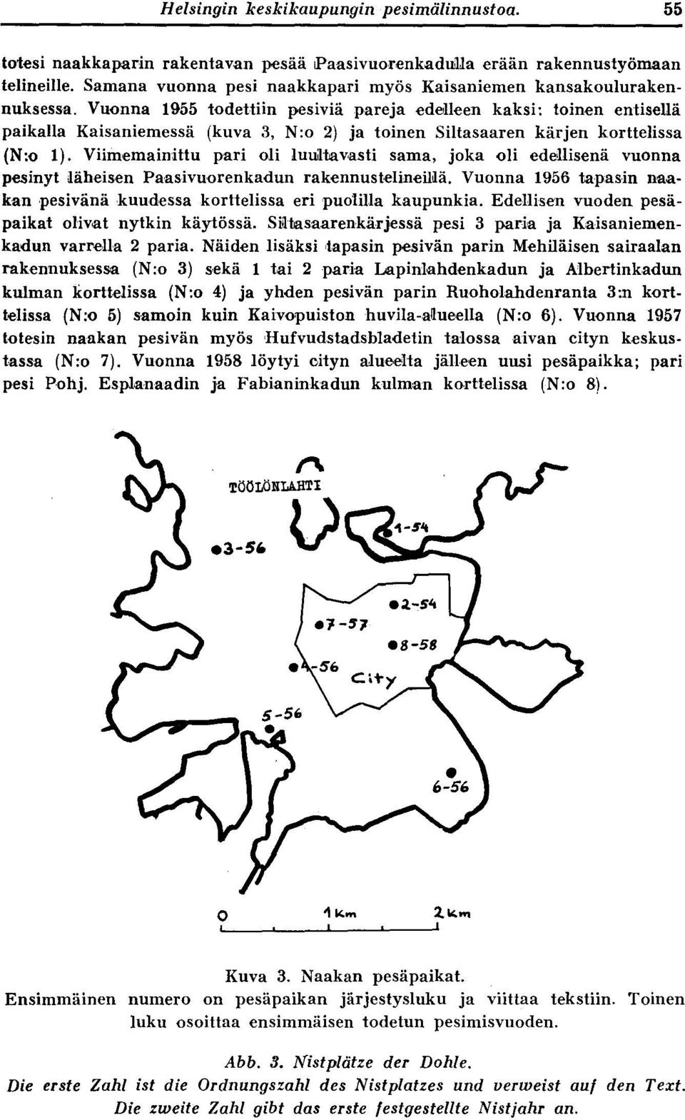 Vuonna 1955 todettiin pesiviä pareja edelleen kaksi : toinen entisellä paikalla Kaisaniemessä (kuva 3, N:o 2) ja toinen Siltasaaren kärjen korttelissa (N :o 1).