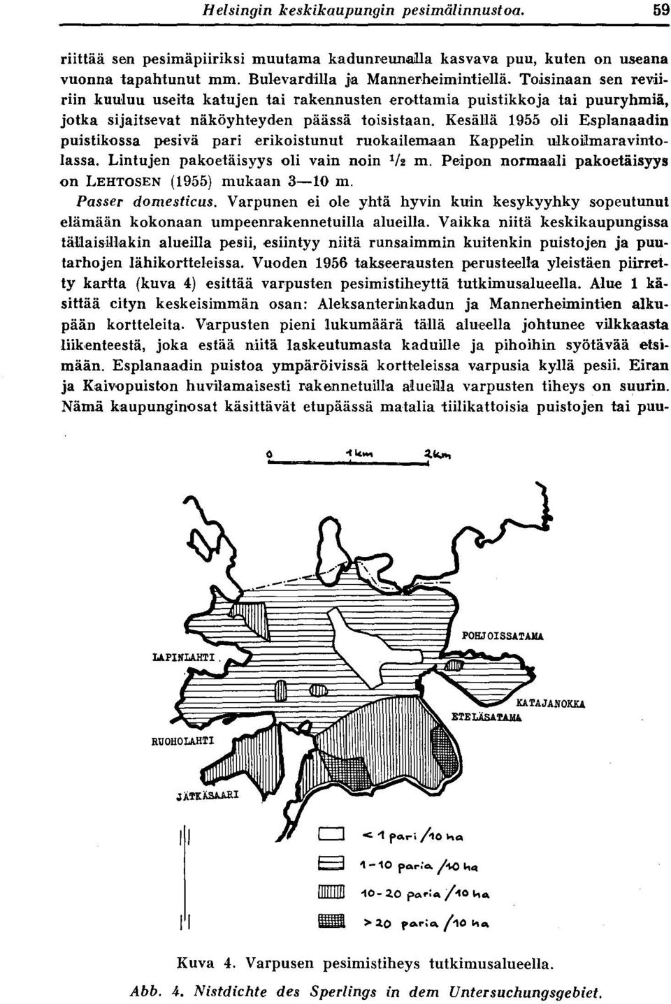 Kesällä 1955 oli Esplanaadin puistikossa pesivä pari erikoistunut ruokailemaan Kappelin ulkoilmaravintolassa. Lintujen pakoetäisyys oli vain noin 1/2 m.