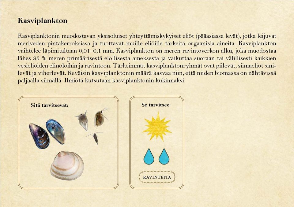 Kasviplankton on meren ravintoverkon alku, joka muodostaa lähes 95 % meren primäärisestä elollisesta aineksesta ja vaikuttaa suoraan tai välillisesti kaikkien vesieliöiden