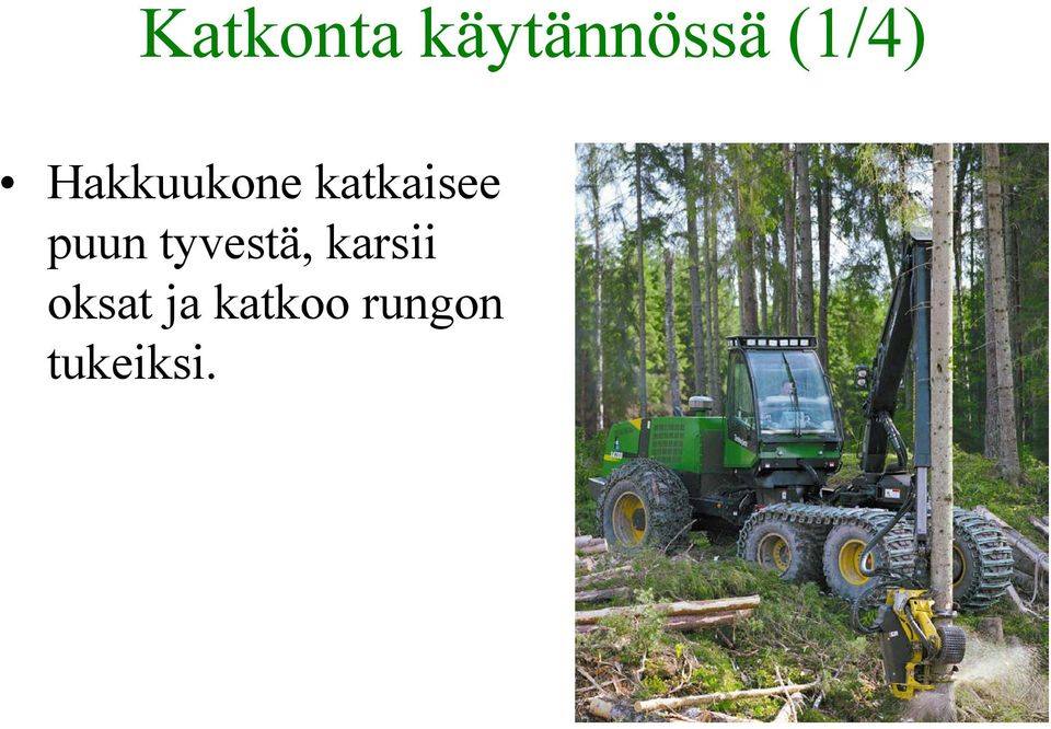 katkaisee puun tyvestä,