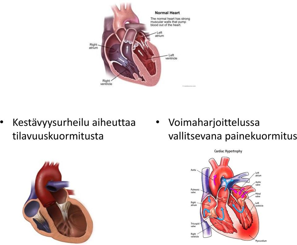 tilavuuskuormitusta