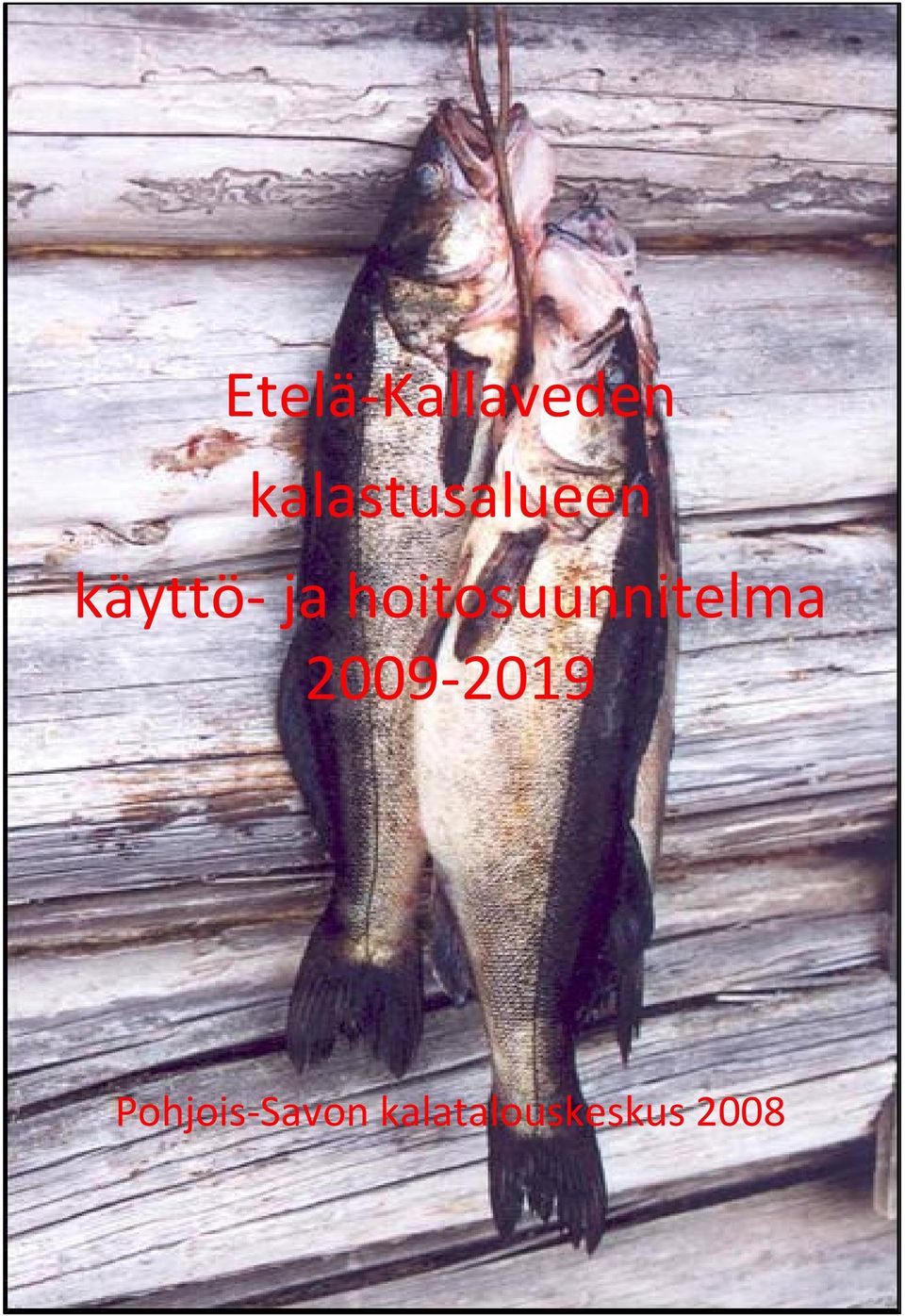 hoitosuunnitelma 2009-2019