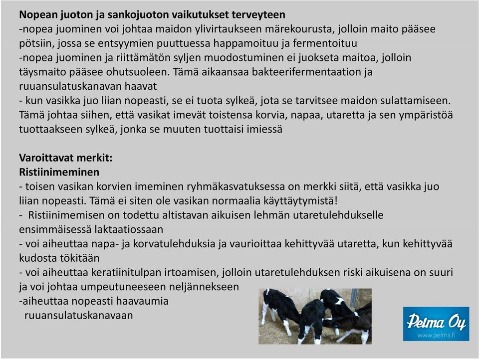 Tämä aikaansaa bakteerifermentaation ja ruuansulatuskanavanhaavat atus a a a aa at kun vasikka juo liian nopeasti, se ei tuota sylkeä, jota se tarvitsee maidon sulattamiseen.