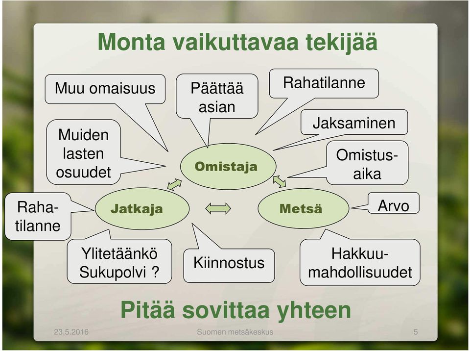 Jatkaja Metsä Arvo Ylitetäänkö Sukupolvi?
