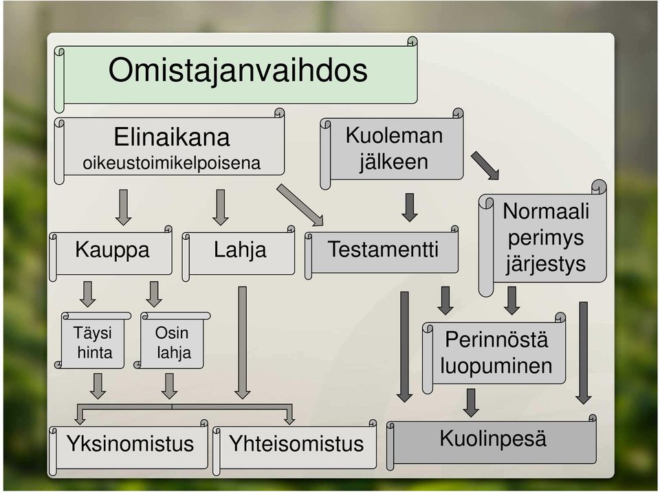 perimys järjestys Täysi hinta Osin lahja