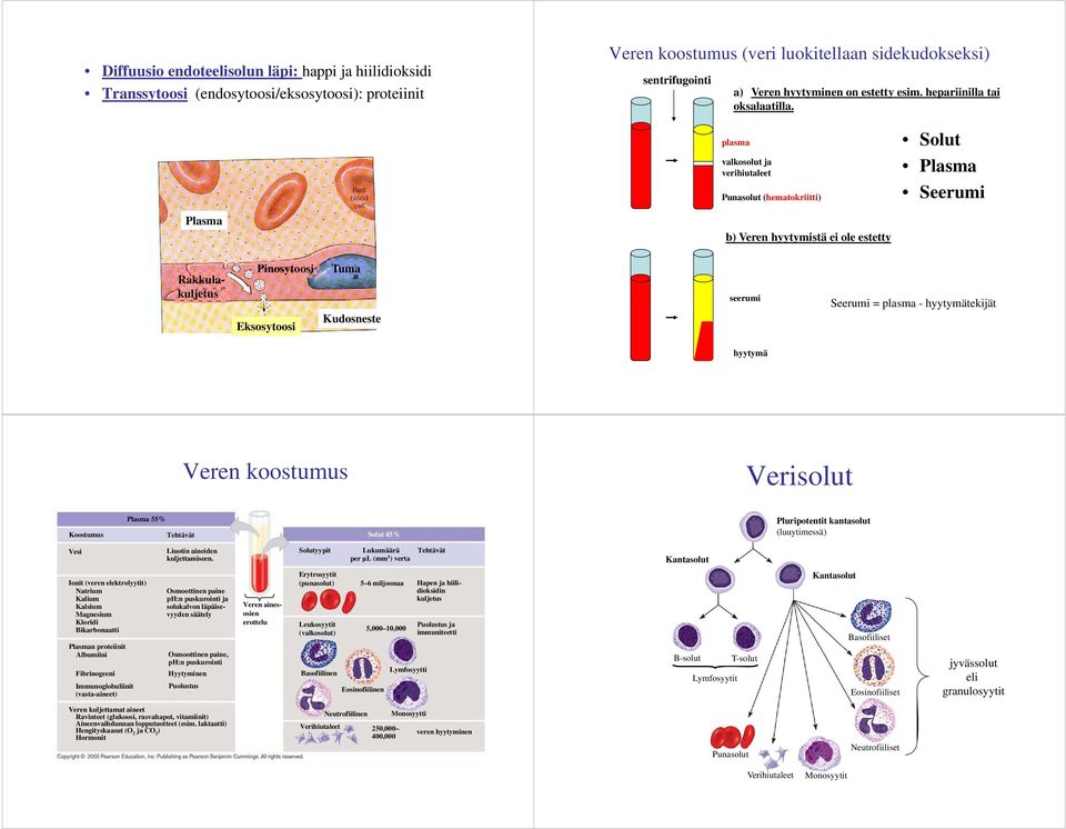 plasma valkosolut ja verihiutaleet Punasolut (hematokriitti) Solut Plasma Seerumi Plasma b) Veren hyytymistä ei ole estetty Rakkula- kuljetus Pinosytoosi Eksosytoosi Tuma Kudosneste seerumi Seerumi =