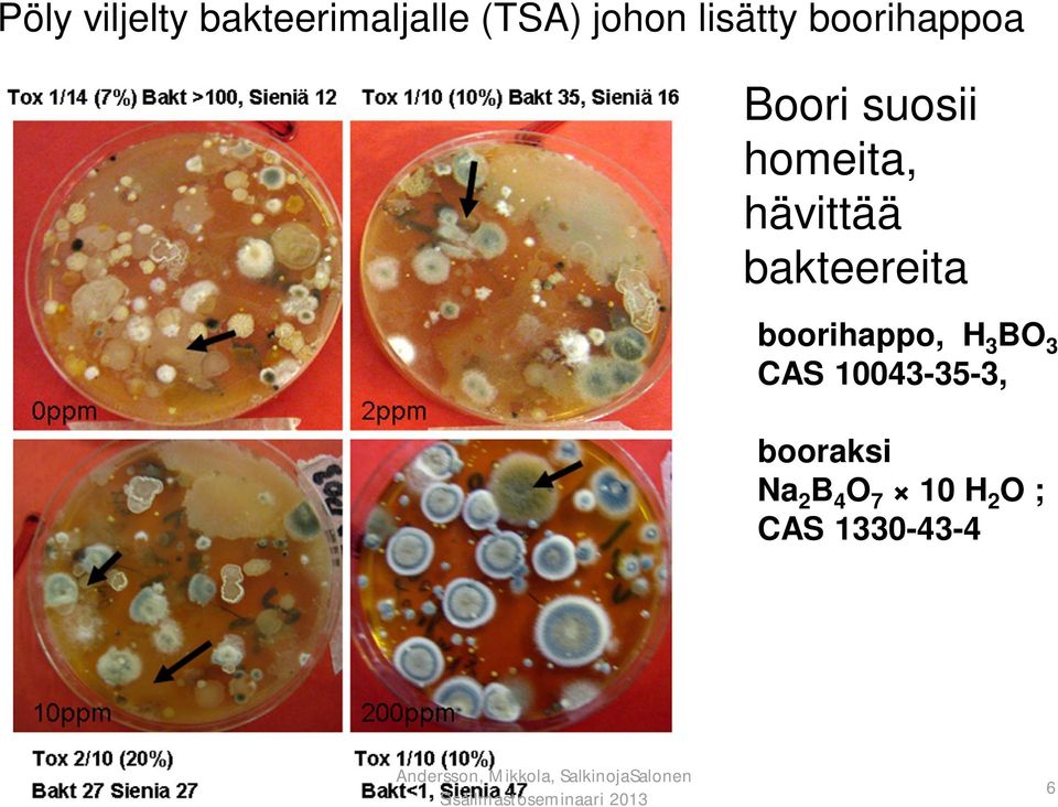 hävittää bakteereita boorihappo, H 3 BO 3 CAS
