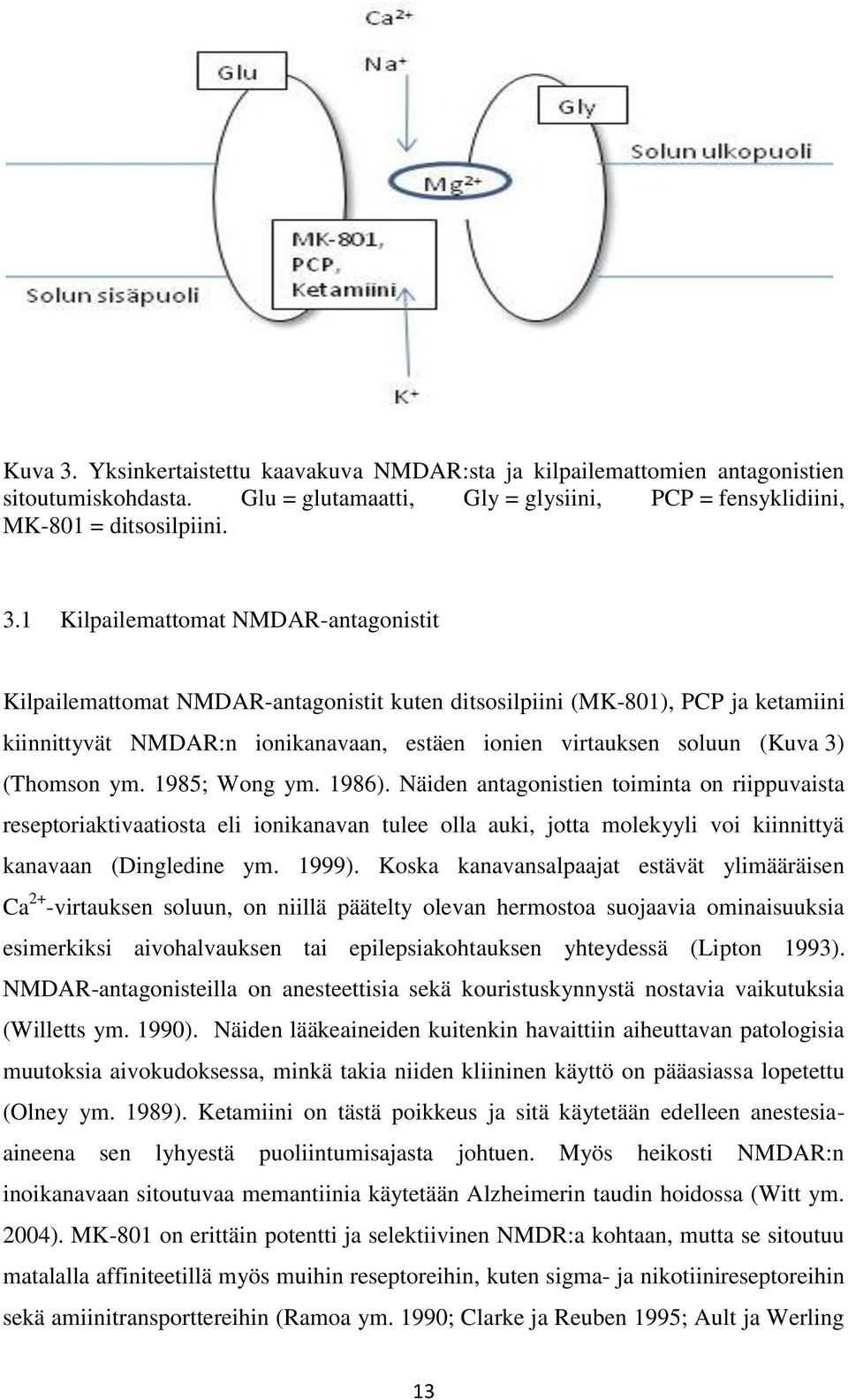 1 Kilpailemattomat NMDAR-antagonistit Kilpailemattomat NMDAR-antagonistit kuten ditsosilpiini (MK-801), PCP ja ketamiini kiinnittyvät NMDAR:n ionikanavaan, estäen ionien virtauksen soluun (Kuva 3)