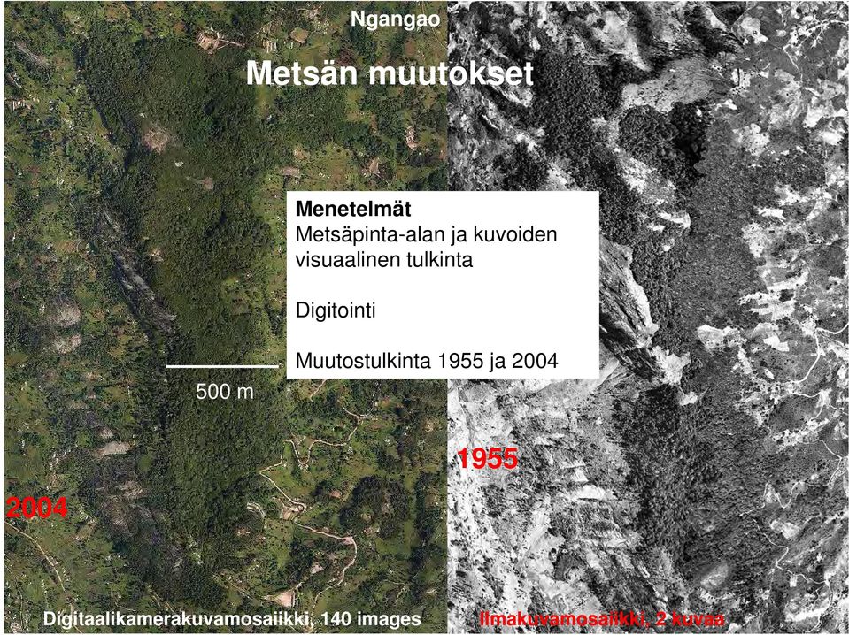 Muutostulkinta 1955 ja 2004 2004 1955 Ngangao