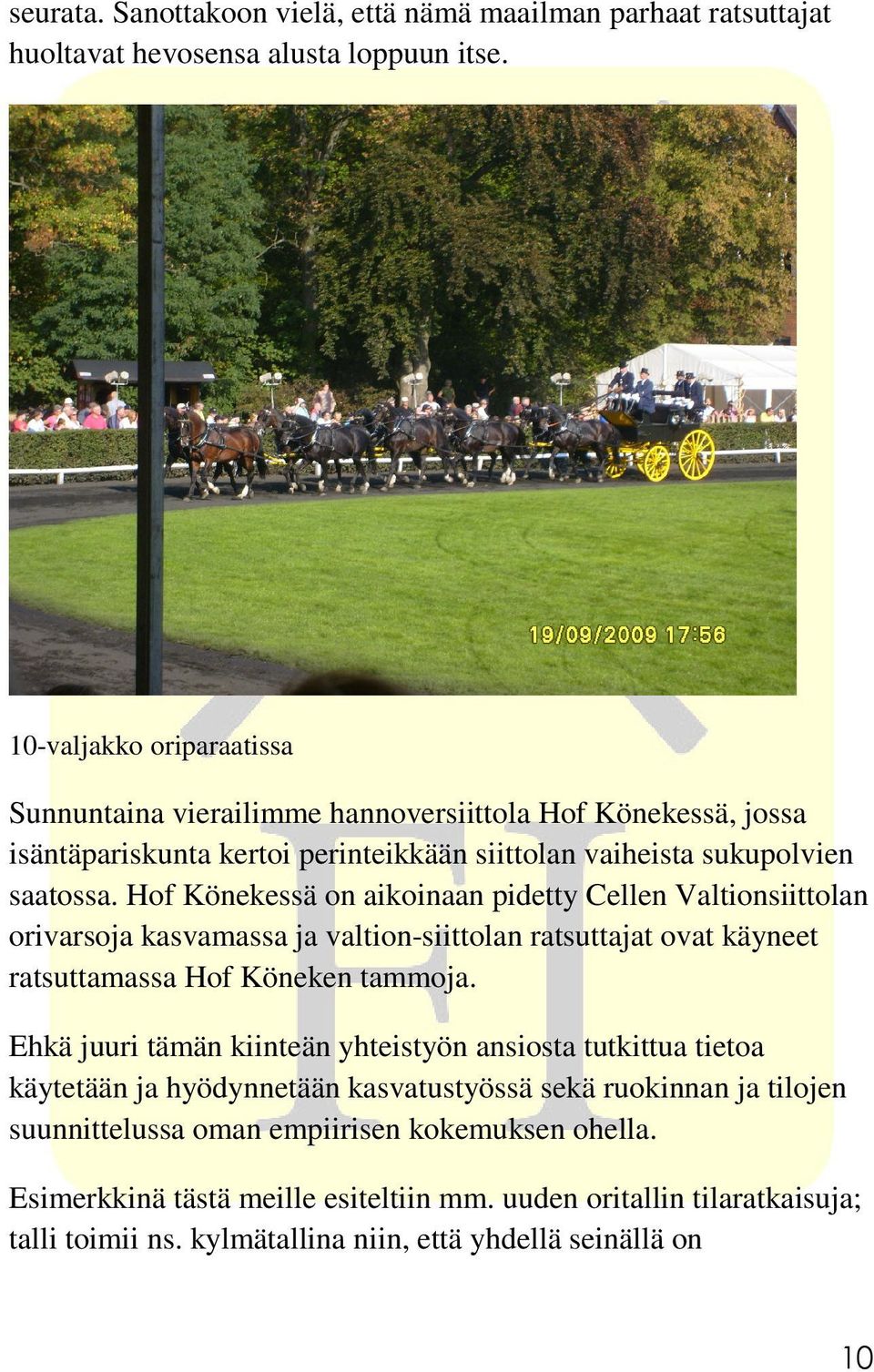 Hof Könekessä on aikoinaan pidetty Cellen Valtionsiittolan orivarsoja kasvamassa ja valtion-siittolan ratsuttajat ovat käyneet ratsuttamassa Hof Köneken tammoja.